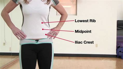 waist and hip measurements